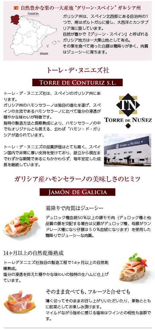 スペイン産 生ハム ハモンセラーノ 食品 14ヶ月熟成 送料無料 3パックセット 包装不可 100g クール代込