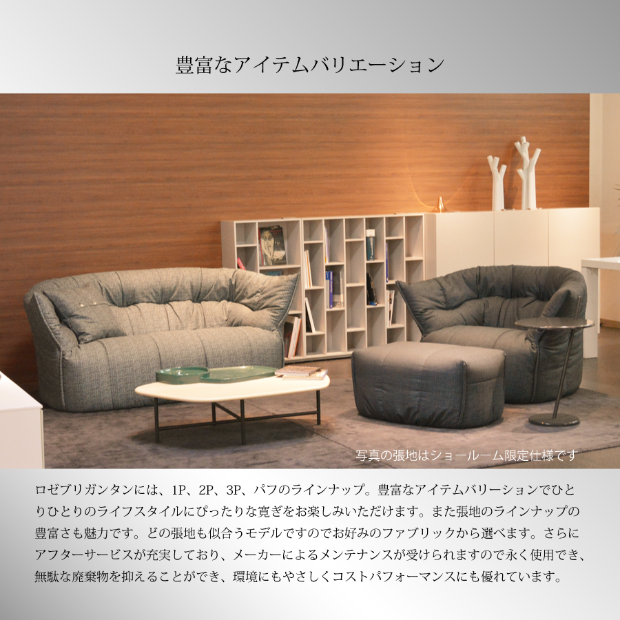 ソファ ソファー 1人掛け ブリガンタン リーンロゼ おしゃれ モダン ロゼブリガンタン brigantin ligneroset Dランク  デザイナーズソファ フロアソファ ふかふか