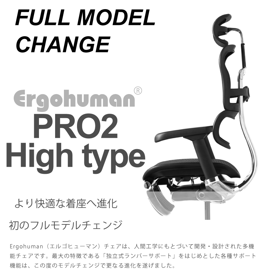 レビューでクーポン進呈】エルゴヒューマン プロ2 EHP2-HAM