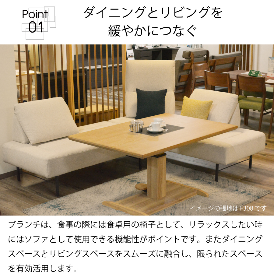 ＬＤソファー　ブランチ用　背クッション　Ｍ２_2