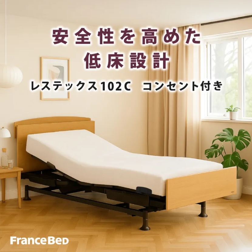フランスベッド（FRANCEBED） レステックス 102C【シングル】【3