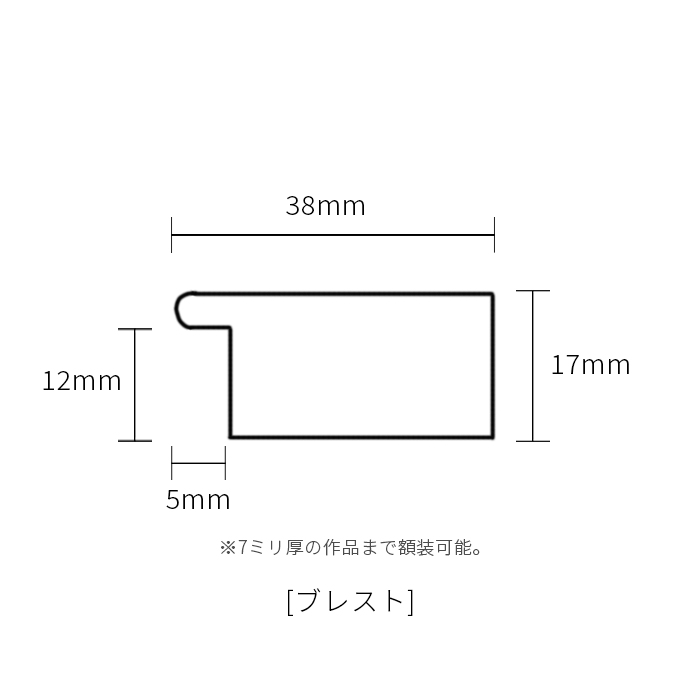 オーダーフレーム ブレスト 前面UVカットアクリル仕様 ※注文後のキャンセル・返品交換不可 [送料別商品] 【卯】 [od_dras_10]