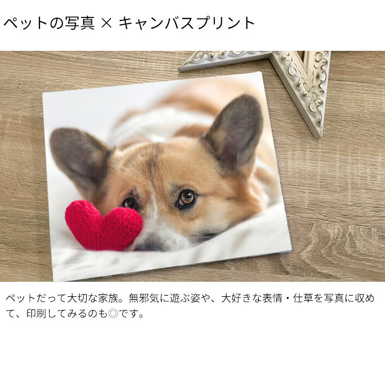 【表面光沢仕上げ】キャンバスプリント F3（273×220mm） |  | 13