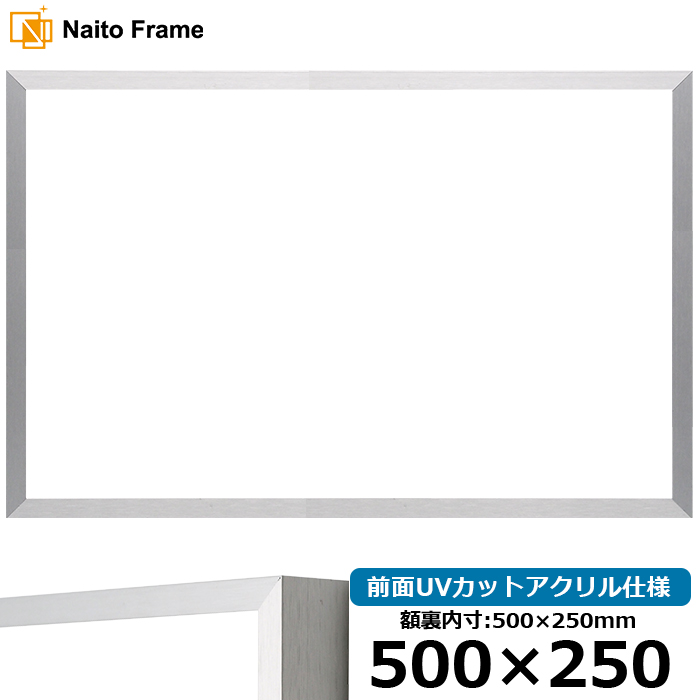 横長額縁 NS003/シルバー（09-SA117） 500×250mm 前面UVカットアクリル仕様 ラーソン・ジュール