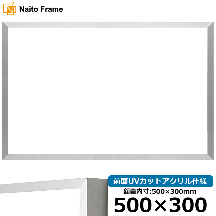 横長額縁 NS003/シルバー（09-SA117） 500×300mm 前面UVカットアクリル仕様 ラーソン・ジュール