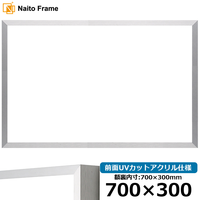 横長 額縁 NS003/シルバー(09-SA117) 700×300mm 前面UVカットアクリル仕様 ラーソン・ジュール｜e-frame