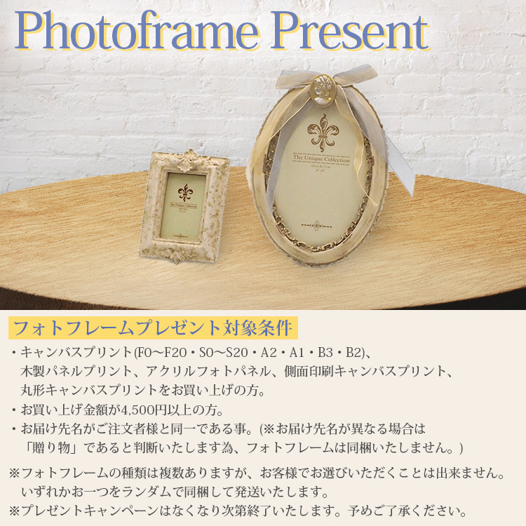 側面印刷キャンバスプリント S8サイズ（455×455mm）フォトパネル 無料文字入れ ギフト オーダー インテリア |  | 14