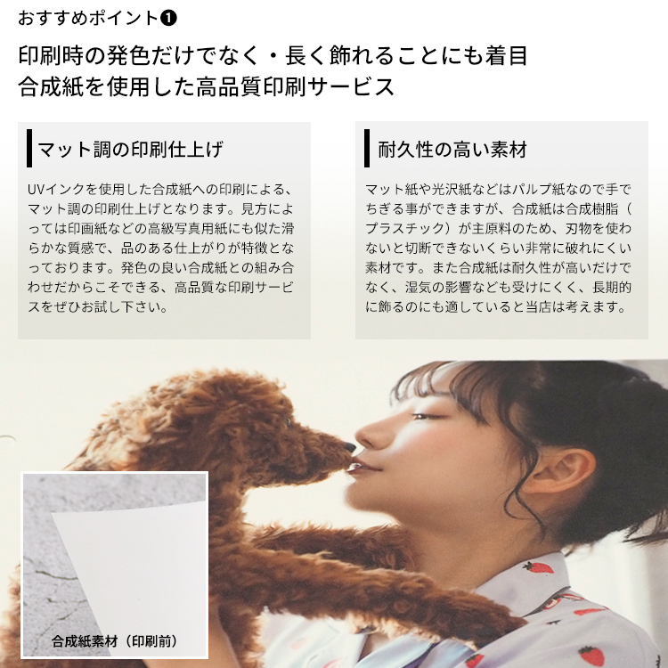 高品質写真・ポスター印刷 合成紙印刷 A3(4...の詳細画像2