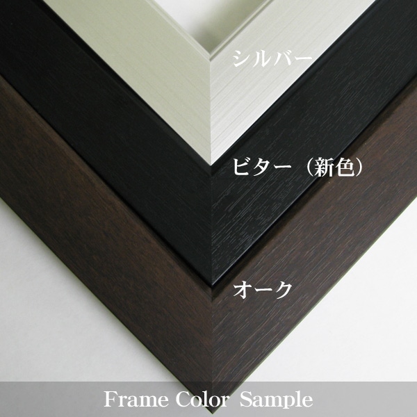 前開きタイプ ユニフォーム額縁 Mサイズ（収容寸法：900×740×34mm） UV