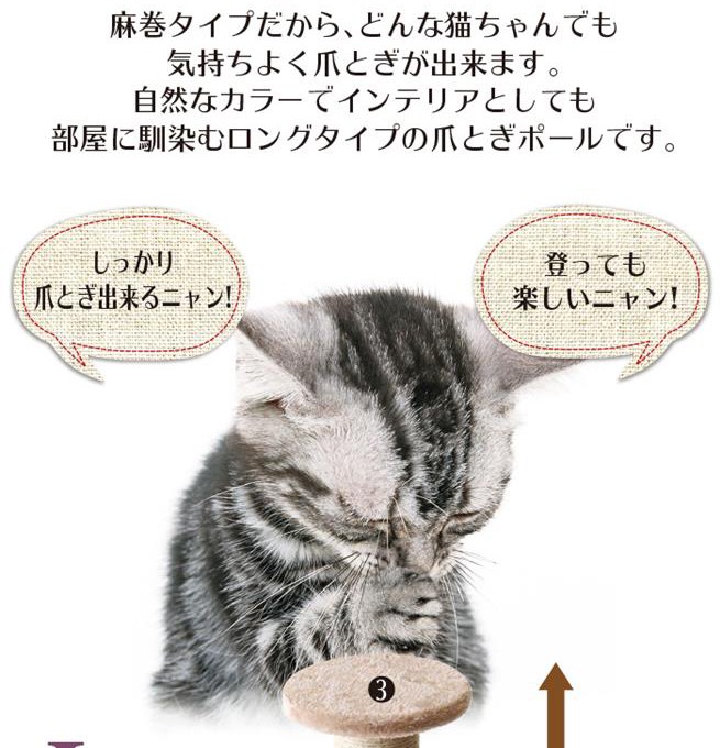 麻巻タイプだから、どんな猫ちゃんでも気持ちよく爪とぎが出来ます。自然なカラーでインテリアとしても部屋に馴染むショートタイプの爪とぎポールです。しっかり爪とぎ出来るニャンもっちりふわふわ