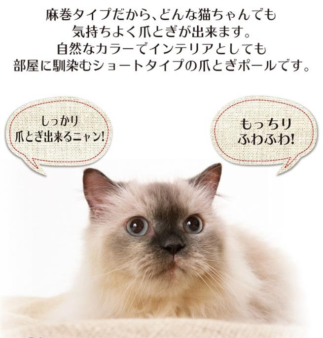 麻巻タイプだから、どんな猫ちゃんでも気持ちよく爪とぎが出来ます。自然なカラーでインテリアとしても部屋に馴染むショートタイプの爪とぎポールです。しっかり爪とぎ出来るニャンもっちりふわふわ