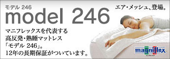 モデル246