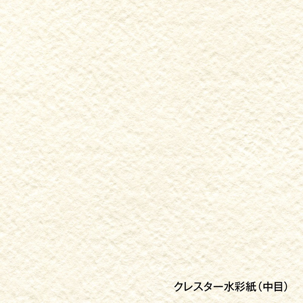 ホルベイン クレスター 水彩紙 ブロック CB-SM 中紙210g 並厚口 中目 24枚とじ｜e-gazai-tougei｜03