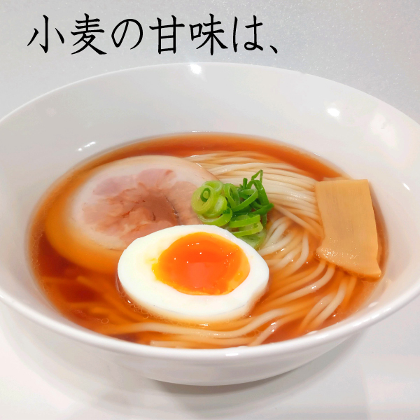 麺類 パスタ 素麺 半田そうめん ギフト 2.1kg 21食｜e-giftshop3｜15