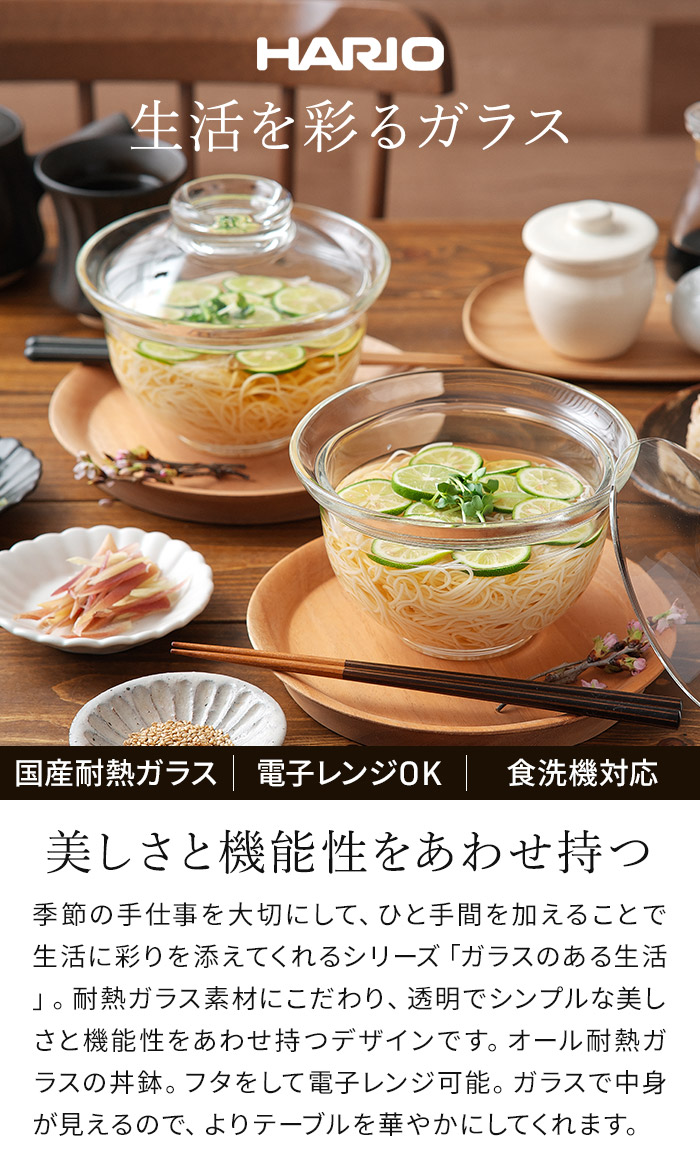 HARIO（ハリオ） ガラスのある生活 ガラスの丼鉢 GXD-600 耐熱ガラス