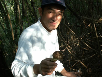赤井さんが松茸を収穫しました。