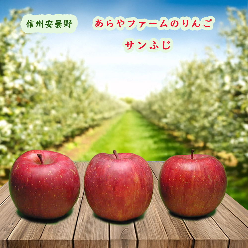 信州 安曇野 あらやファームのりんご サンふじ 約5kg 農園直送 減農薬