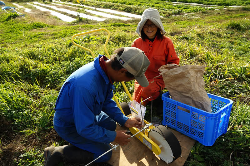 里山てるてるファームのもち麦種まき作業