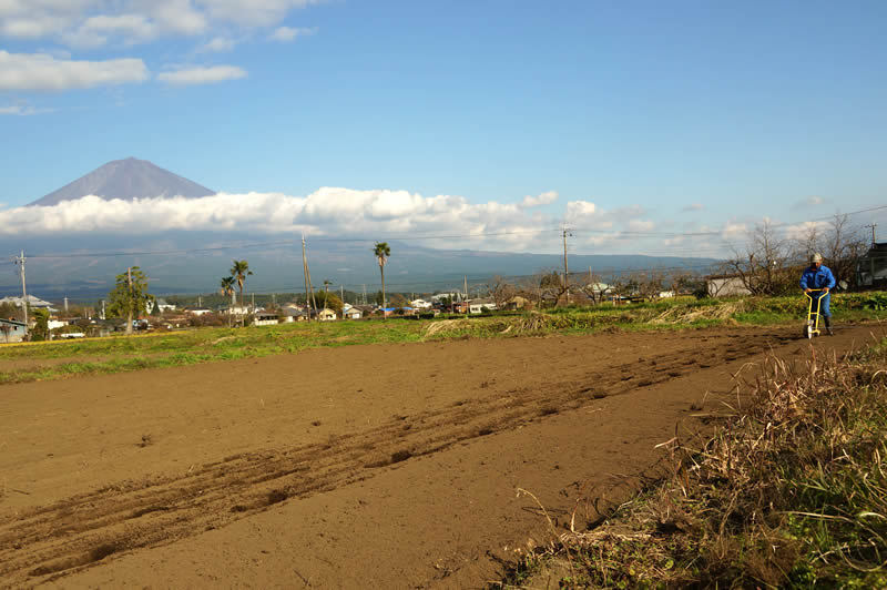 里山てるてるファームのもち麦種まき作業