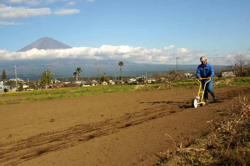 里山てるてるファームのもち麦種まき作業