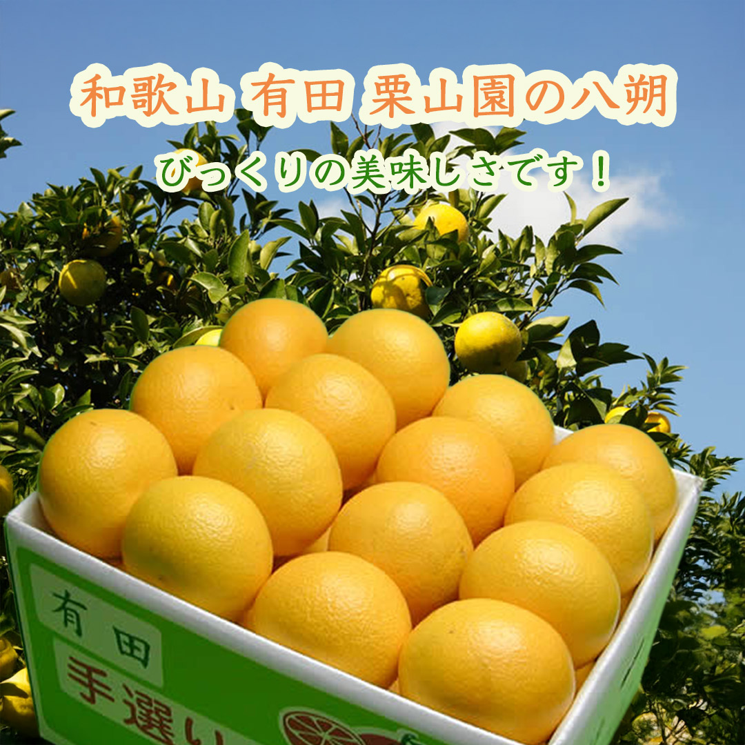 早生八朔　L、Mサイズ20kg 、10 八朔 はっさく 20kg 送料無料 無農薬 ノーワックス 農園直送 木成り