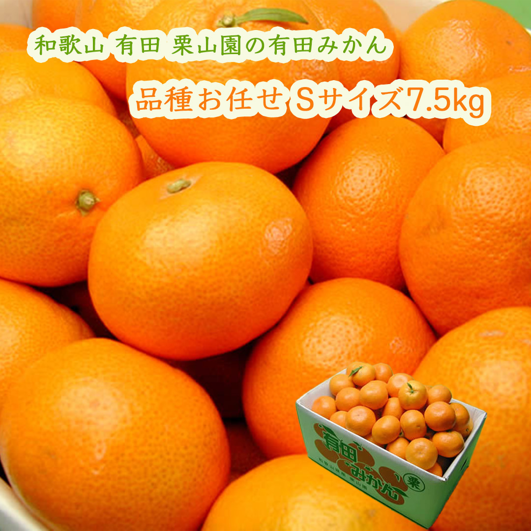 栗山園の有田みかん 品種お任せ Sサイズ 7.5kg 宮川早生 興津早生 向山