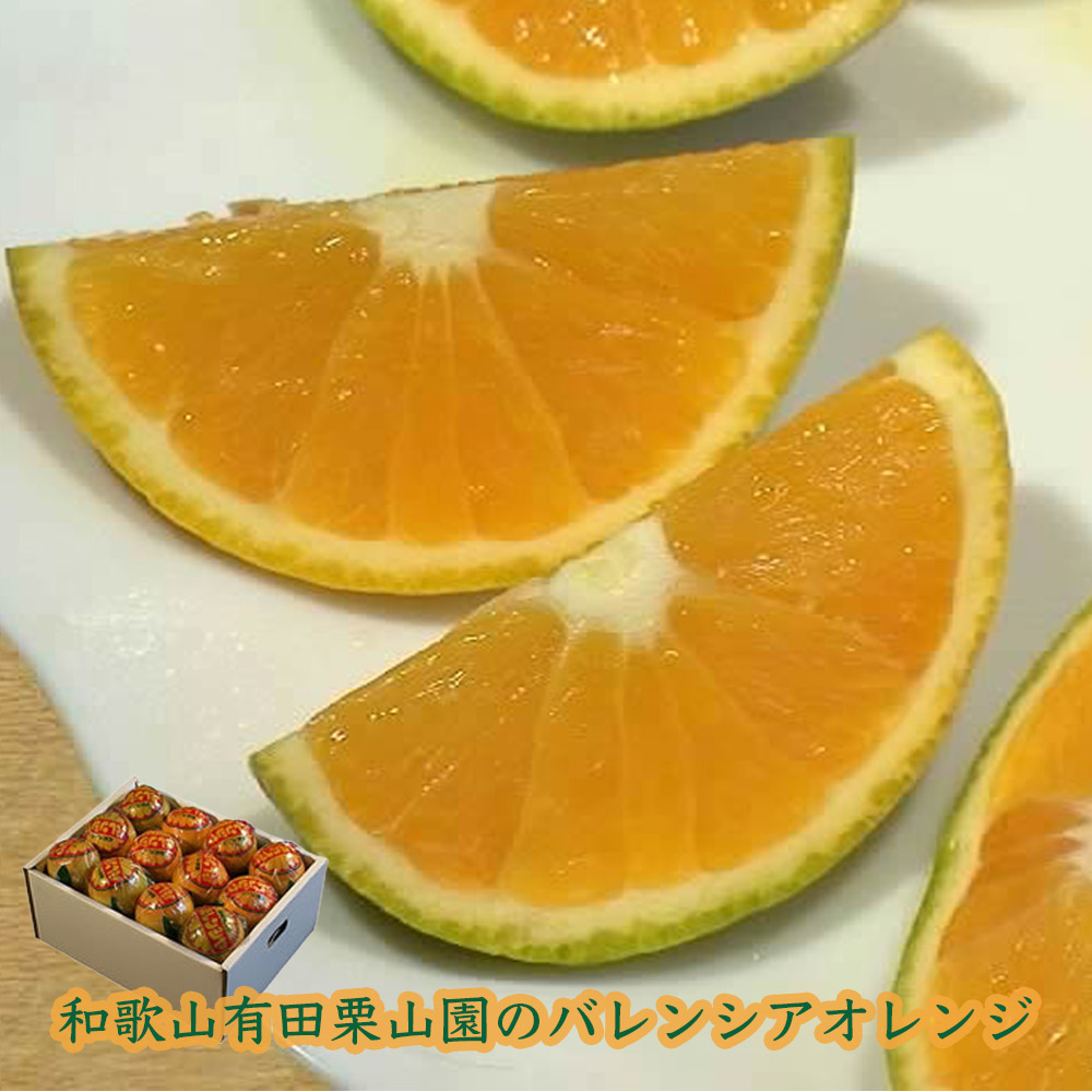 家庭用‼️和歌山県産 バレンシアオレンジ 10kg 訳あり 産地直送 みかんキング 栗山園の国産バレンシアオレンジ 4kg 和歌山県産 安心の国産オレンジ