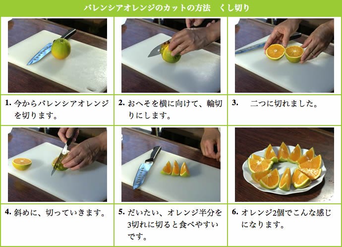 栗山園のバレンシアオレンジ
