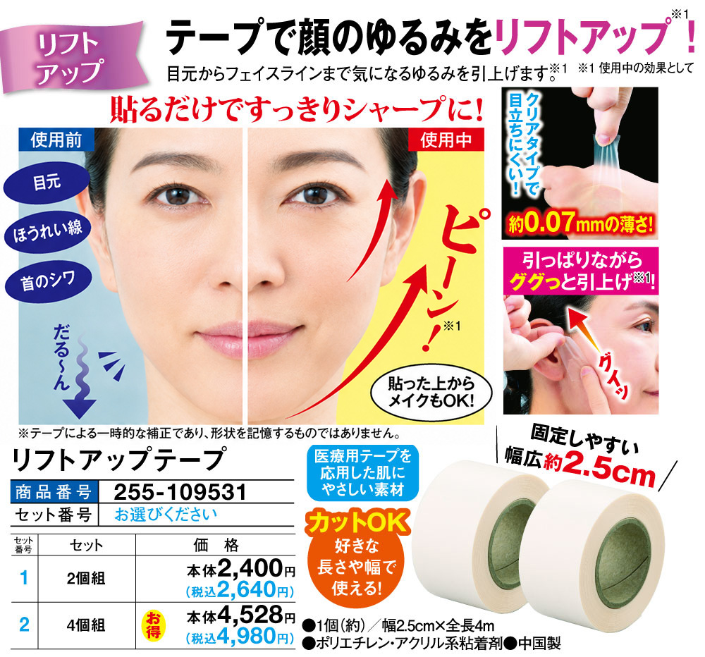 活動歴および当時の関連ビジュアル記録