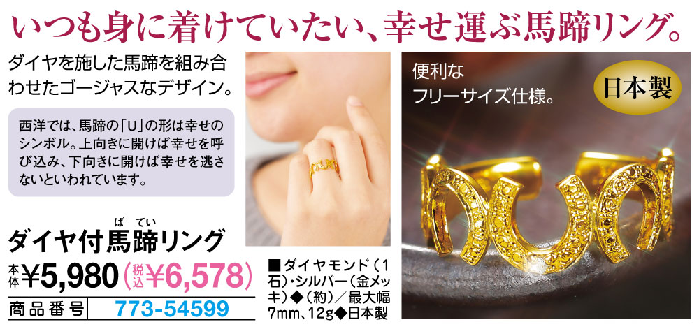 ダイヤ付馬蹄リング |  | 01