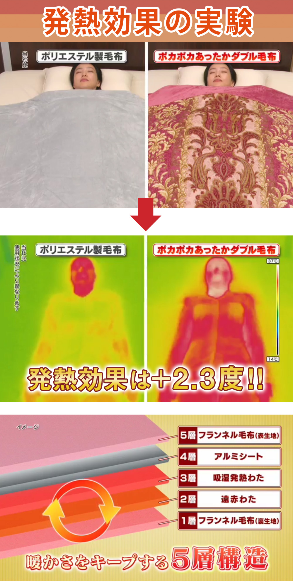 Amazon｜【帝人TEIJINマイティトップ中わた】掛け布団