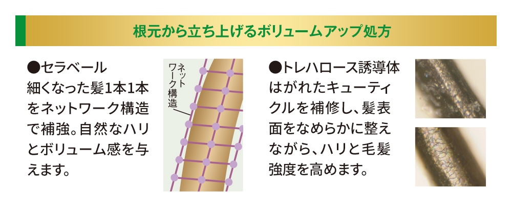 柑気楼 薬用モイストシャンプー＆トリートメントセット【タイムセール