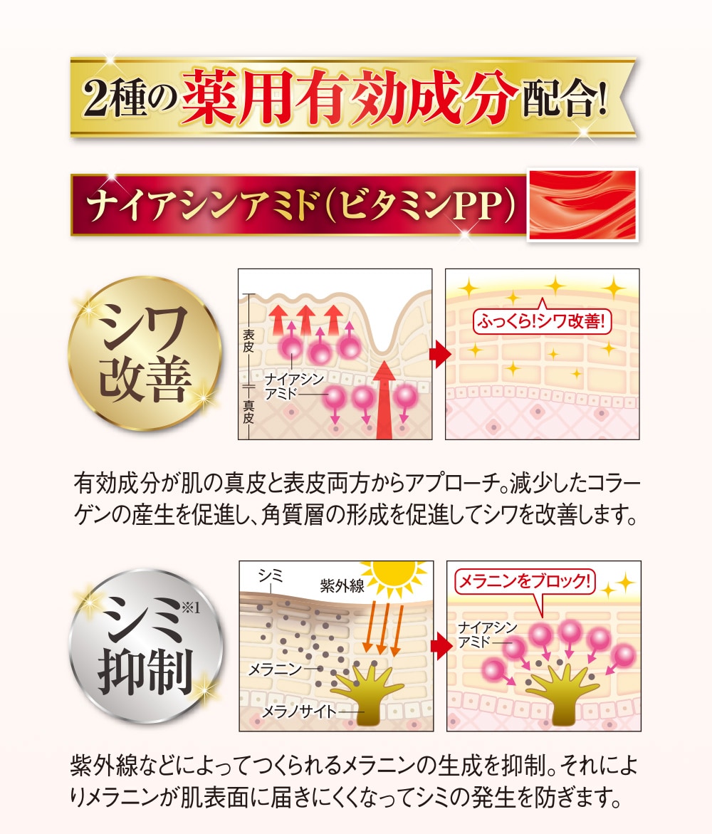 薬用美白リンクルリペアホワイティーローション 150mL  2本組 |  | 08