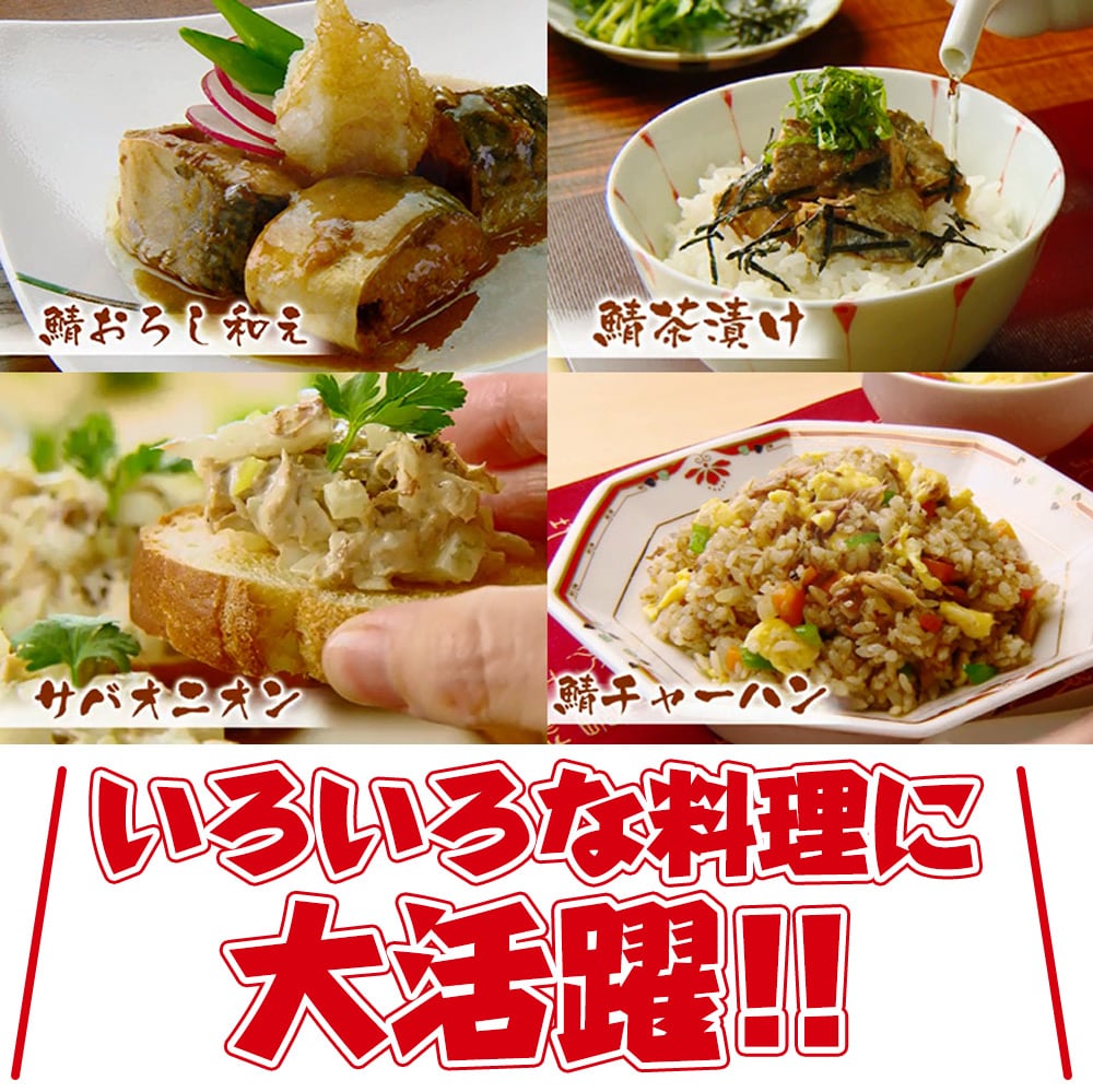 マルハニチロ 鯖缶詰 24缶セット+鮭フレーク 水煮24缶 味噌煮24缶 |  | 03