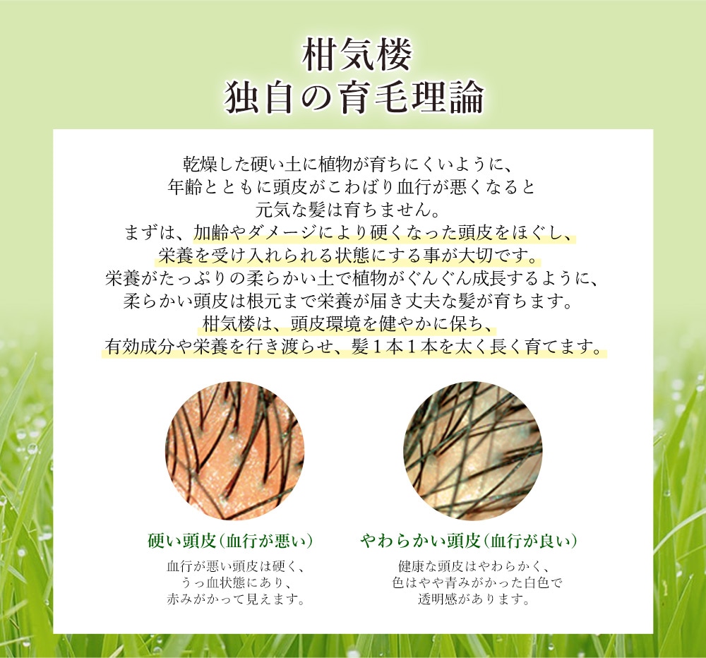 薬用育毛剤 柑気楼 健露DX 40mL 3本セット【タイムセール】 5月4日（月