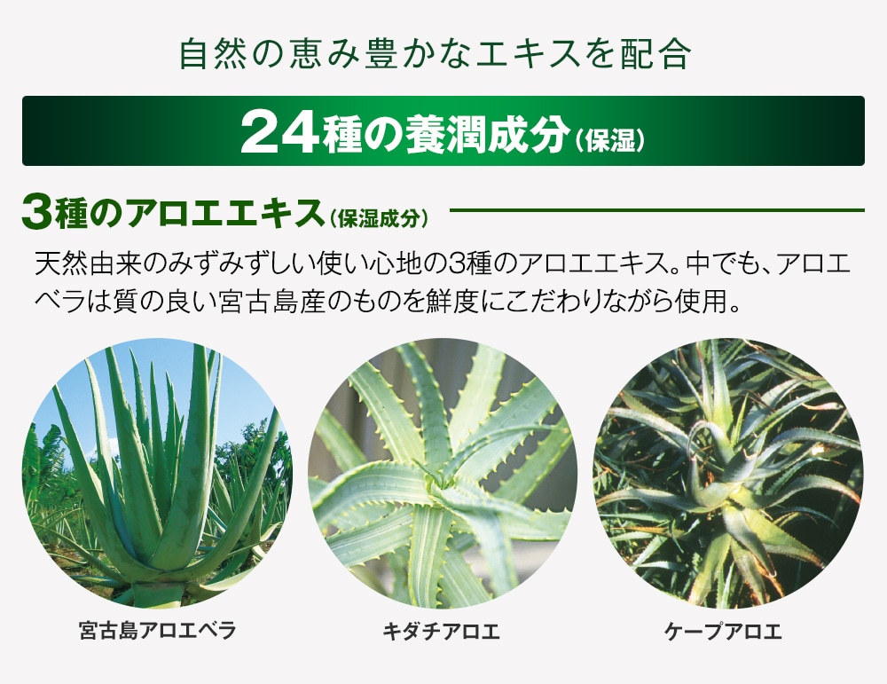 薬用育毛剤 新髪24潤成プレミアム 100mL 3本セット【タイムセール】 5