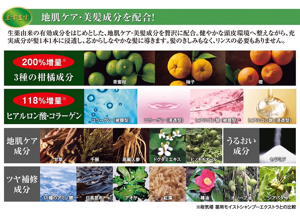 柑気楼 薬用ますますシャンプー 2本組【タイムセール】 6月8日（月）16