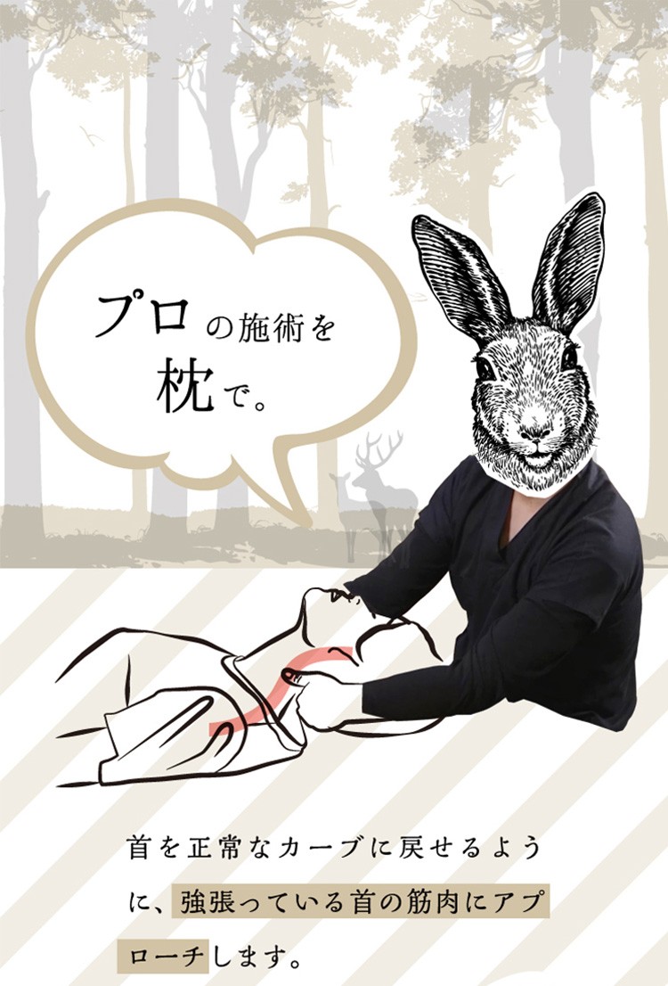 kaibo 整体枕【限定1枕】小売希望価格の45%OFF 新品未使用 kaibo 整体枕【限定1枕】小売希望価格の45%OFF 新品未使用