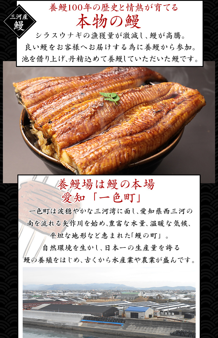 愛知県三河産 鰻蒲焼3尾セット 松 高い素材 愛知県三河産 鰻蒲焼3尾セット 松 高い素材