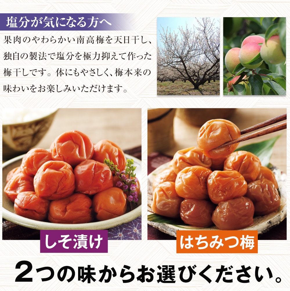 塩分ひかえめでおいしいすこやか梅 4パックセット【タイムセール】　10月8日（木）16時50分まで |  | 04
