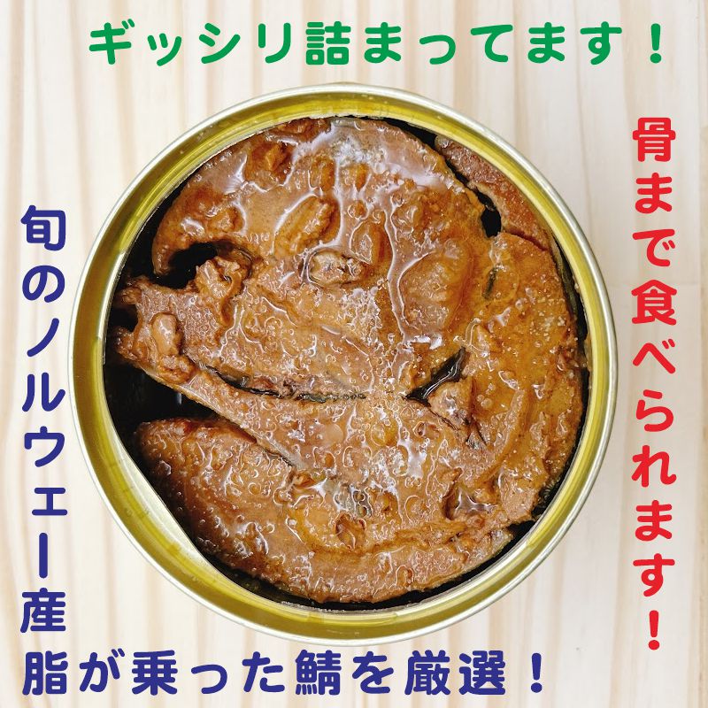 6つの味から選ぶ！鯖缶 2個ギフトセット 箱入り 鯖街道 さば缶