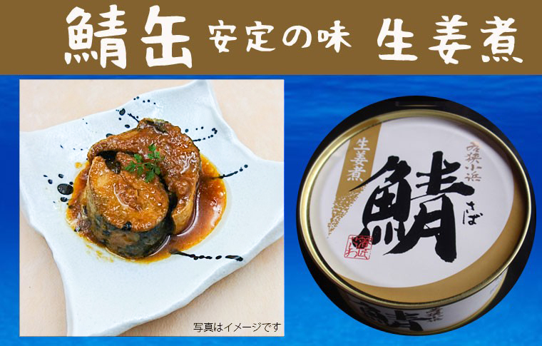 鯖缶 AIKO CHAN 伊藤食品 あいこちゃん 鯖缶 青のサバ 水煮 食塩不
