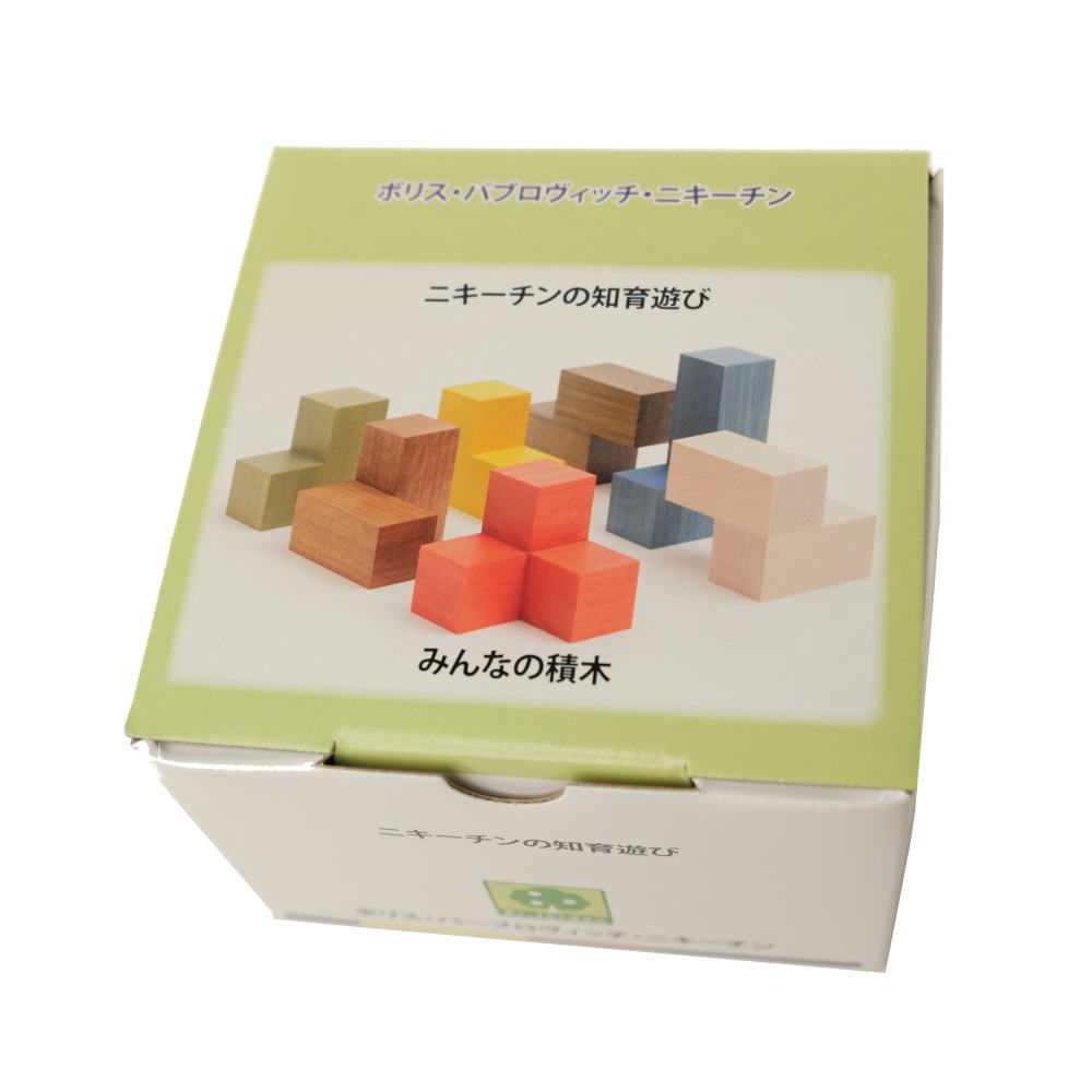 みんなの積木 ニキーチン 積み木 【オリジナル問題図付き】 木の