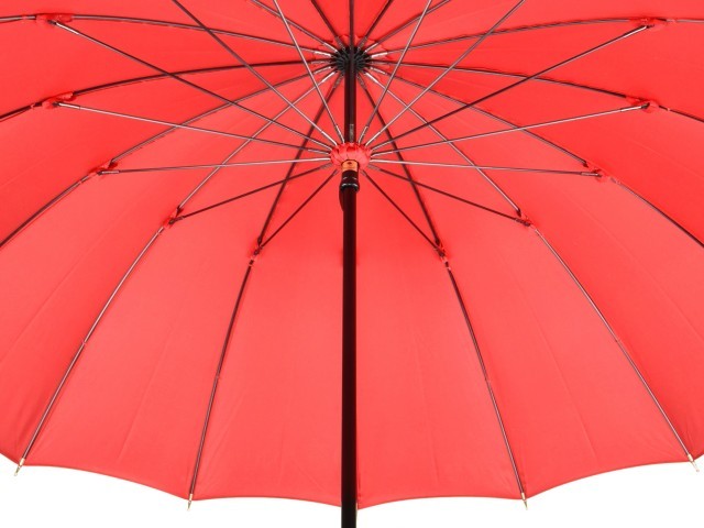 傘 レディース 16本骨 長傘 前原光榮商店 カーボン 無地 寒竹手元 雨傘 TRAD-16-Carbon レッド