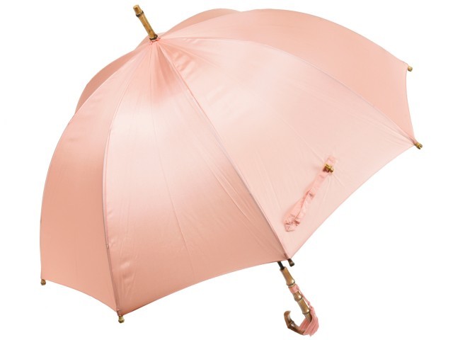 傘 レディース 長傘 ワカオ バードゲージ型 雨傘 深張り 親骨60cm ８本 
