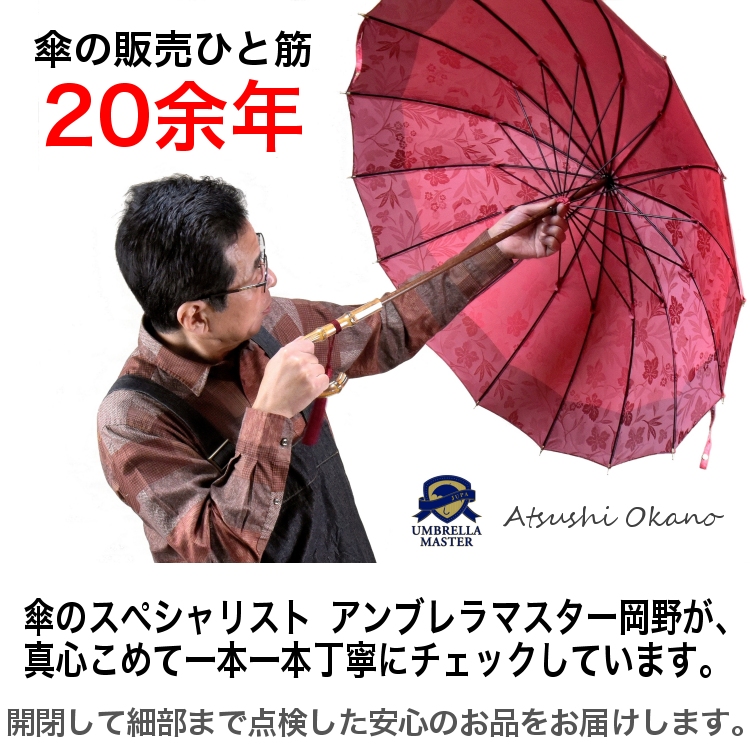 傘 レディース 長傘 日傘 晴雨兼用傘 インディアン ヘッド 親骨47cm 10本骨 手開き UVカット 日本製