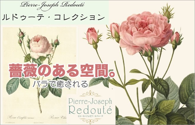 SALE／67%OFF】ルドゥーテ バラ柄のシュガーボウル 薔薇 おしゃれ 食器