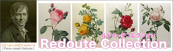 ルドゥーテ バラ柄のティーポット 薔薇 : 0360114 : 輸入家具・雑貨の 