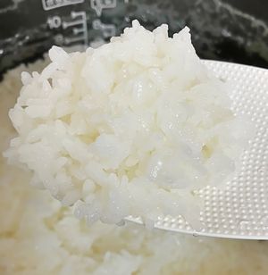 お米 新米 2kg 魚沼産コシヒカリ 少量 減農薬・減化学肥料栽培 特a レターパック便 新潟県産 令和6年産産 : uonuma-02 : お米の良い コシヒカリネット - 通販 - Yahoo!ショッピング