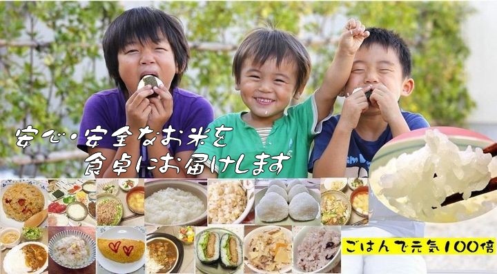 お米の良いコシヒカリネット - Yahoo!ショッピング お米の良いコシヒカリネット - Yahoo!ショッピング
